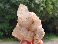 Natural Smokey Phantom Quartz Clusters x 3 From Luena, Congo