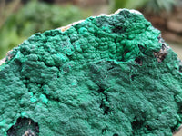 Natural Botryoidal Malachite Specimens x 2 From Tenke Fungurume, Congo