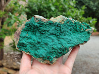 Natural Botryoidal Malachite Specimens x 2 From Tenke Fungurume, Congo