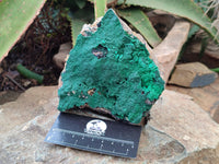 Natural Botryoidal Malachite Specimens x 2 From Tenke Fungurume, Congo