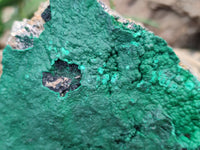 Natural Botryoidal Malachite Specimens x 2 From Tenke Fungurume, Congo