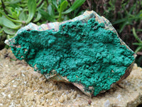 Natural Botryoidal Malachite Specimens x 2 From Tenke Fungurume, Congo