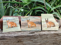 Hand Made Lynx / Caracal Decoupage on Butter Jade Stone Slabs - sold per item - From South Africa