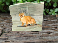 Hand Made Lynx / Caracal Decoupage on Butter Jade Stone Slabs - sold per item - From South Africa