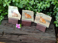 Hand Made Lynx / Caracal Decoupage on Butter Jade Stone Slabs - sold per item - From South Africa