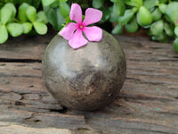 Polished Pharaoh Stone Spheres x 2 From Zimbabwe