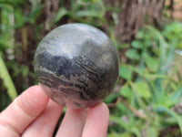 Polished Pharaoh Stone Spheres x 2 From Zimbabwe