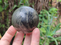 Polished Pharaoh Stone Spheres x 2 From Zimbabwe