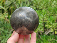 Polished Pharaoh Stone Spheres x 2 From Zimbabwe