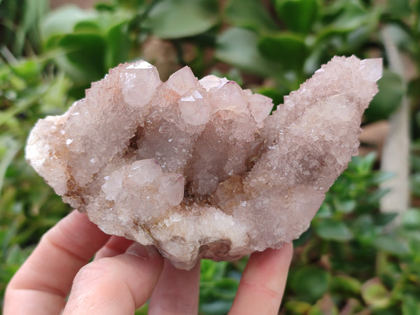 Natural Amethyst Spirit Quartz Clusters x 2 From Boekenhouthoek, South Africa