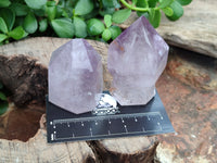 Polished Window Amethyst Quartz Crystals x 9 From Akansobe, Madagascar