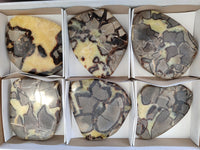 Polished Septerye Slices x 6 From Mahajanga, Madagascar