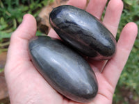 Polished Pharaoh Stone Free Forms x 4 From Zimbabwe