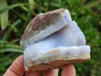 Natural Blue Lace Agate Geode Specimens x 12 From Malawi