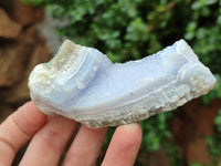 Natural Blue Lace Agate Geode Specimens x 12 From Malawi