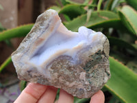 Natural Blue Lace Agate Geode Specimens x 12 From Malawi