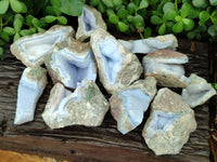 Natural Blue Lace Agate Geode Specimens x 12 From Malawi