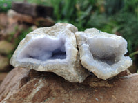 Natural Blue Lace Agate Geode Specimens x 12 From Malawi