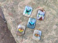 Polished Polychrome Jasper Pendant with Hand Painted Butterflies - sold per item - From Madagascar