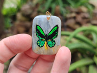 Polished Polychrome Jasper Pendant with Hand Painted Butterflies - sold per item - From Madagascar