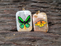 Polished Polychrome Jasper Pendant with Hand Painted Butterflies - sold per item - From Madagascar