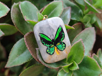 Polished Polychrome Jasper Pendant with Hand Painted Butterflies - sold per item - From Madagascar