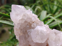 Natural Amethyst Spirit Quartz Clusters x 4 From Boekenhouthoek, South Africa