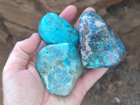 Polished Shattuckite with Azurite and Chrysocolla Free Forms x 6 From Congo