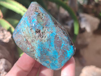 Polished Shattuckite with Azurite and Chrysocolla Free Forms x 6 From Congo