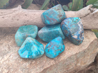 Polished Shattuckite with Azurite and Chrysocolla Free Forms x 6 From Congo