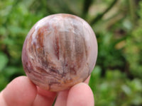 Polished Podocarpus Petrified Wood Galet / Palmstones x 24 From Mahajanga, Madagascar