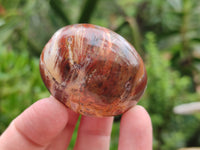 Polished Podocarpus Petrified Wood Galet / Palmstones x 24 From Mahajanga, Madagascar