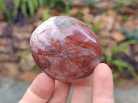 Polished Podocarpus Petrified Wood Galet / Palmstones x 24 From Mahajanga, Madagascar