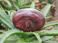 Polished Podocarpus Petrified Wood Galet / Palmstones x 24 From Mahajanga, Madagascar