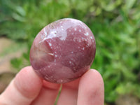 Polished Podocarpus Petrified Wood Galet / Palmstones x 24 From Mahajanga, Madagascar