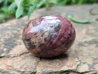 Polished Podocarpus Petrified Wood Galet / Palmstones x 24 From Mahajanga, Madagascar