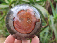 Polished Polychrome Jasper Spheres x 3 From Mahajanga, Madagascar