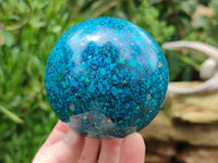 Polished Chrysocolla Conglomerate Spheres x 2 From Congo