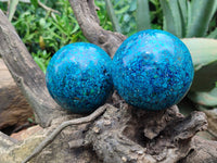 Polished Chrysocolla Conglomerate Spheres x 2 From Congo