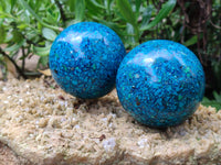 Polished Chrysocolla Conglomerate Spheres x 2 From Congo