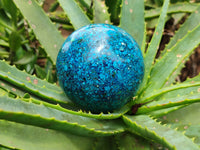 Polished Chrysocolla Conglomerate Spheres x 2 From Congo