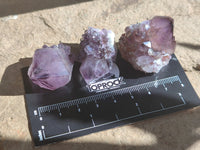 Natural Dark Amethyst Spirit Quartz Crystals x 70 From Boekenhouthoek, South Africa