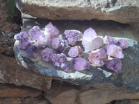 Natural Dark Amethyst Spirit Quartz Crystals x 70 From Boekenhouthoek, South Africa