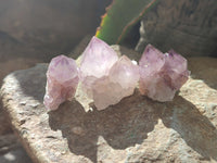 Natural Dark Amethyst Spirit Quartz Crystals x 70 From Boekenhouthoek, South Africa