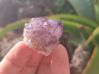 Natural Dark Amethyst Spirit Quartz Crystals x 70 From Boekenhouthoek, South Africa