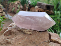 Polished Double Terminated Rose Quartz Points x 6 From Ambatondrazaka, Madagascar