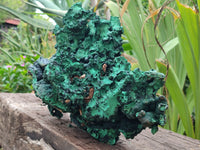 Natural Museum Piece Malachite Stalactite Specimen x 1 From Tenke Fungurume, Congo