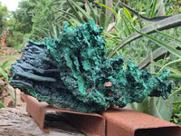 Natural Museum Piece Malachite Stalactite Specimen x 1 From Tenke Fungurume, Congo