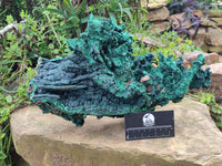 Natural Museum Piece Malachite Stalactite Specimen x 1 From Tenke Fungurume, Congo