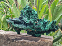 Natural Museum Piece Malachite Stalactite Specimen x 1 From Tenke Fungurume, Congo